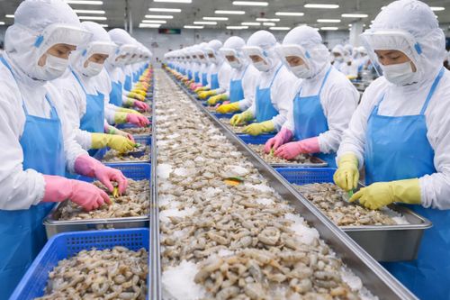 Xuất khẩu thủy sản tăng trưởng tích cực, nhưng đối mặt nhiều biến số
