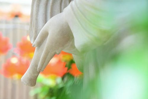 Nhẫn giữa thuận và nghịch cảnh: an yên sẽ thấy duyên sinh, diệt