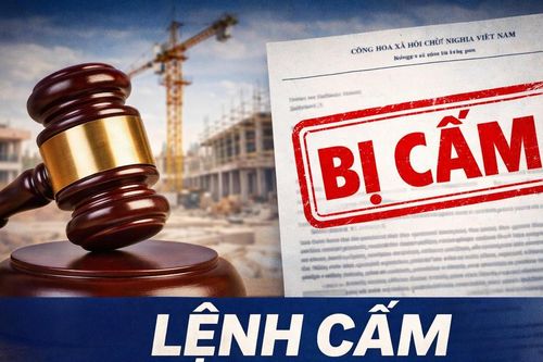 Cấm Công ty Anh Minh tham gia đấu thầu 3 năm vì cung cấp thông tin không trung thực