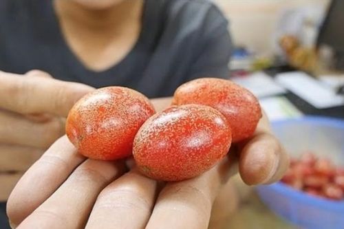 Công dụng của cây nhót