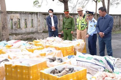 Chặn xe tải chở hơn 2,6 tấn nội tạng, xương động vật không rõ nguồn gốc