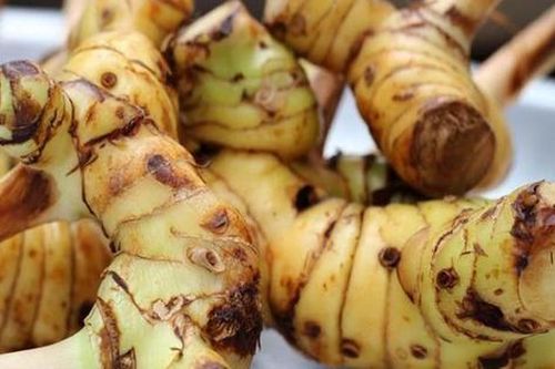 Củ riềng: Gia vị giúp bảo vệ hệ tiêu hóa khi ăn đồ sống, lạnh