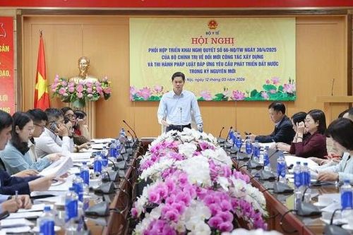 Thúc đẩy hoàn thiện hai dự thảo Nghị định về chế độ phụ cấp đối với nhân lực y tế