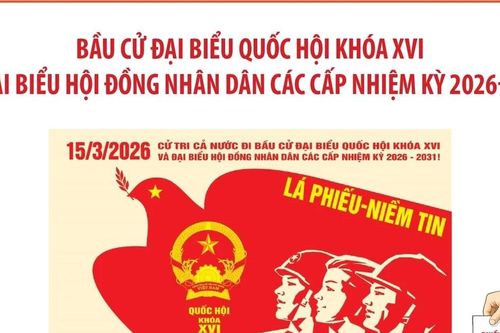 Bầu cử Quốc hội và HĐND các cấp: Thành lập các tổ chức phụ trách bầu cử theo đúng quy định