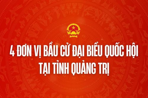 Infographic: 4 đơn vị bầu cử đại biểu Quốc hội tại tỉnh Quảng Trị