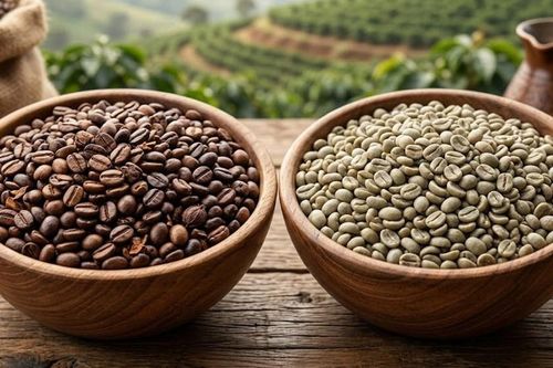 Giá cà phê hôm nay 13.3: Tây Nguyên giảm mạnh còn 92.700 đồng/kg