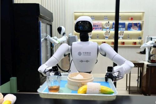 AI 'bù đắp' thiếu hụt lao động khi dân số châu Á già hóa