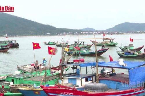 Bám biển vươn khơi, không quên ngày bầu cử