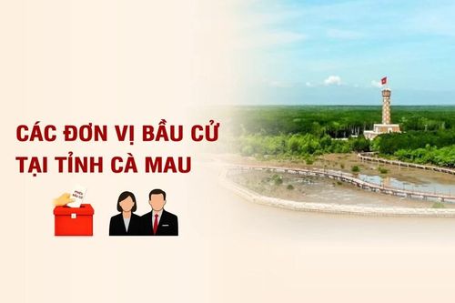 Các đơn vị bầu cử đại biểu Quốc hội tại tỉnh Cà Mau
