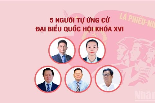 Năm người tự ứng cử đại biểu Quốc hội khóa XVI