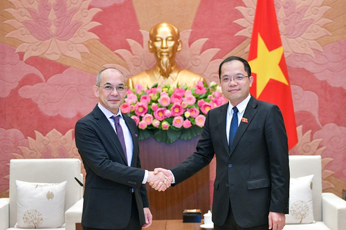 Tiếng nói của lòng dân vùng đồng bào dân tộc thiểu số giữa nghị trường - Bài 2: Khi đại biểu Quốc hội là người dân tộc thiểu số tham gia dẫn dắt hội nhập, chuyển đổi số