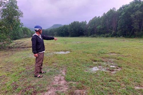 Vì sao hơn 30 ha đất trồng lúa ở thôn An Châu lại bị bỏ hoang?