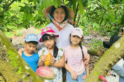 Cây ca cao hồi sinh trên vùng đất đỏ