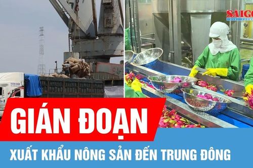 Gián đoạn xuất khẩu nông sản đến Trung Đông