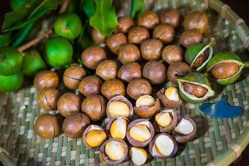 Loại hạt béo bùi được ví như 'hoàng hậu', giá hơn 1,3 triệu đồng/kg