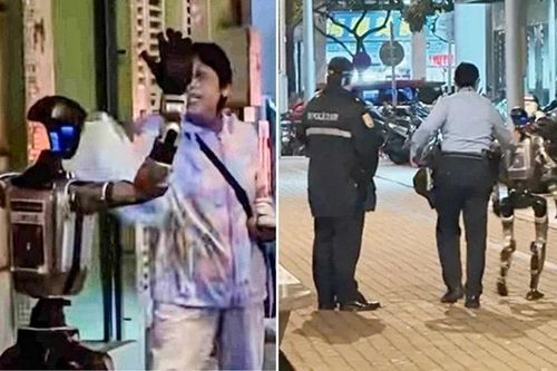 Làm bà lão nhập viện, robot hình người bị cảnh sát áp giải ở Macau