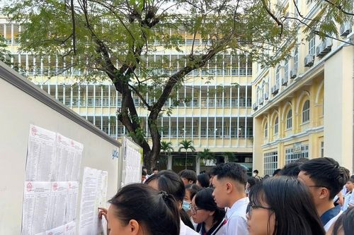 Điểm danh những trường 'hot' nhiều học sinh giỏi nhất TPHCM