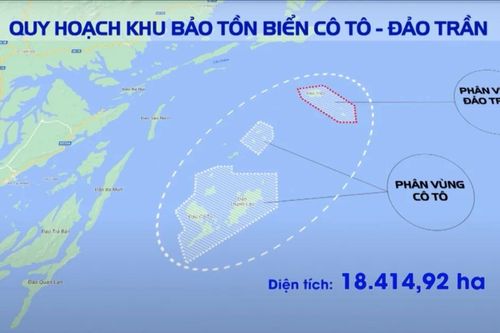Ban Quản lý Di sản thế giới vịnh Hạ Long, Yên Tử nhận thêm Khu bảo tồn biển hơn 18.000ha