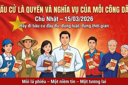 Kết quả bầu cử bị khiếu nại sẽ được giải quyết ra sao?