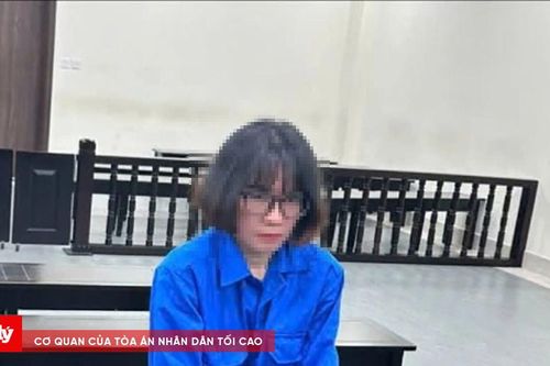 Lừa làm dịch vụ mang thai hộ, chiếm đoạt hơn 1,3 tỷ đồng