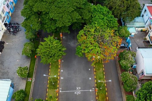 Chủ nhà ngang nhiên mở nhiều cửa sổ nhìn sang nhà hàng xóm