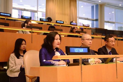 Việt Nam cam kết bảo đảm quyền tiếp cận công lý cho phụ nữ và trẻ em gái