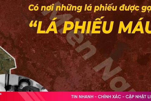 Tổng tuyển cử đầu tiên - trang sử vàng viết bằng lòng yêu nước