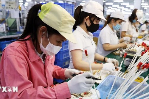 Đồng Nai nghiêm cấm tuyển lao động nước ngoài vi phạm quy định xuất nhập cảnh