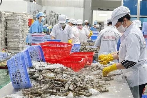 Mỹ siết kiểm soát thủy sản nhập khẩu, doanh nghiệp lưu ý gì?