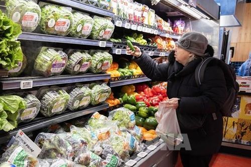 Triển vọng thương mại không mấy sáng sủa của Canada