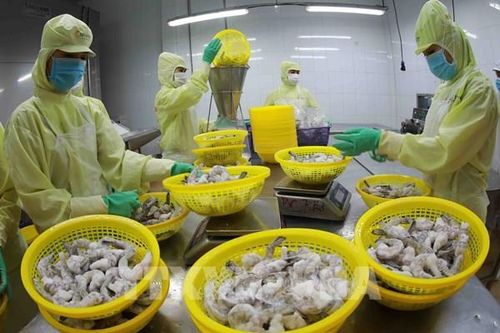 Ngành thủy sản chủ động điều chỉnh trước các thách thức mới phát sinh