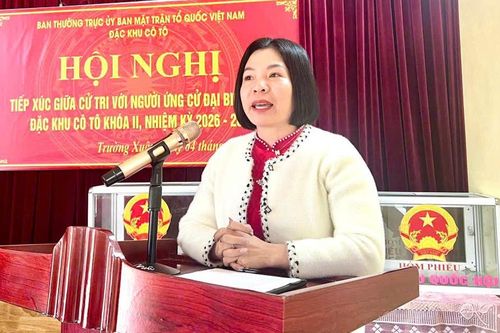 'Đại biểu HĐND không phải để phát biểu cho hay, mà để làm cầu nối thật sự giữa Nhân dân với chính quyền'
