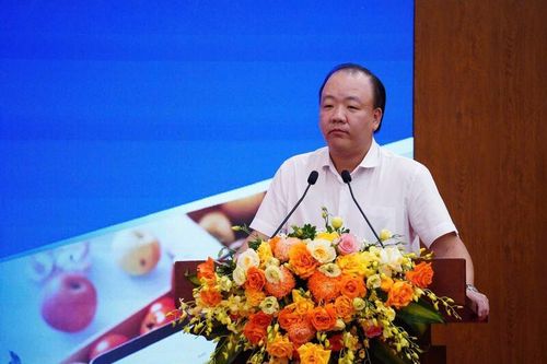 Cục trưởng thị trường trong nước lý giải về điều hành giá xăng dầu trước xung đột Trung Đông
