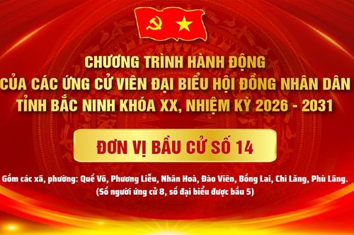 Chương trình hành động của các ứng cử viên đại biểu HĐND tỉnh Bắc Ninh khóa XX, nhiệm kỳ 2026 - 2031, Đơn vị bầu cử số 14