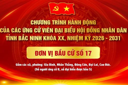 Chương trình hành động của các ứng cử viên đại biểu HĐND tỉnh Bắc Ninh khóa XX, nhiệm kỳ 2026 - 2031, Đơn vị bầu cử số 17