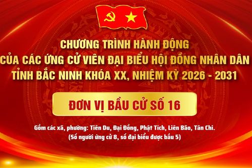 Chương trình hành động của các ứng cử viên đại biểu HĐND tỉnh Bắc Ninh khóa XX, nhiệm kỳ 2026 - 2031, Đơn vị bầu cử số 16