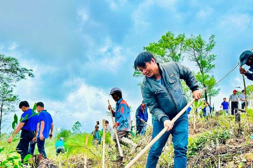 Miền núi vào mùa trồng rừng