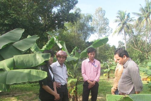 Nông thôn mới hướng đến nông nghiệp sinh thái