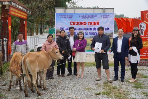 Trao tặng bê giống cho gia đình đặc biệt khó khăn xã Nà Tấu