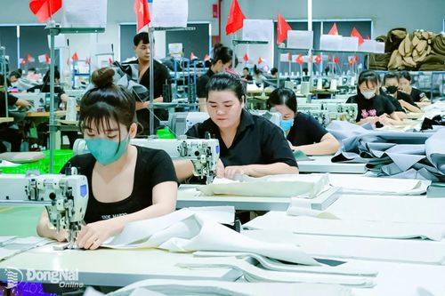 Giải quyết việc làm cho hơn 1,7 ngàn lượt người