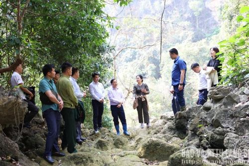 Khảo sát đề xuất phương án xử lý tiêu nước mùa mưa tại xã Hữu Liên