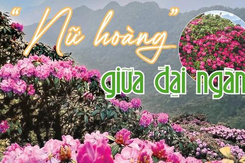 'Nữ hoàng' giữa đại ngàn