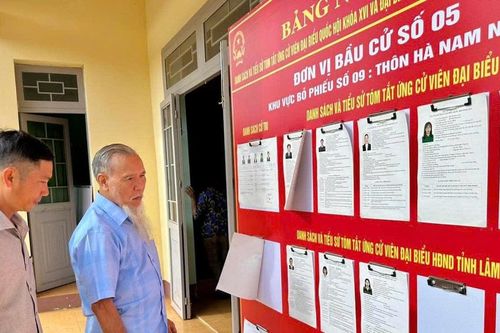 Ý Đảng gặp lòng dân trong ngày hội lớn