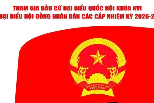 Lá phiếu cho tương lai phát triển