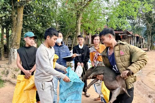 Xã Thượng Trạch: Giảm nghèo thông tin, cải thiện đời sống người dân