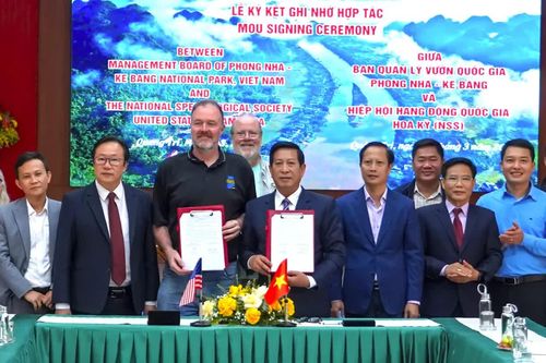 Nâng cao chất lượng nghiên cứu khoa học, quản lý và bảo tồn hệ thống hang động