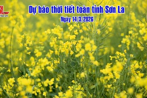 Dự báo thời tiết toàn tỉnh Sơn La ngày 14/3/2026