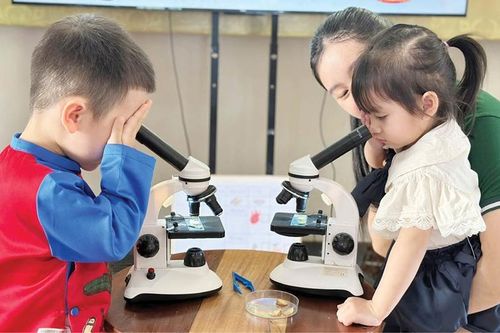 Trẻ mầm non trải nghiệm tích hợp kiến thức liên ngành