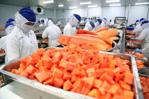 Lưu ý cho doanh nghiệp: Trung Quốc sửa Tiêu chuẩn an toàn thực phẩm quốc gia đối với thực phẩm chế biến