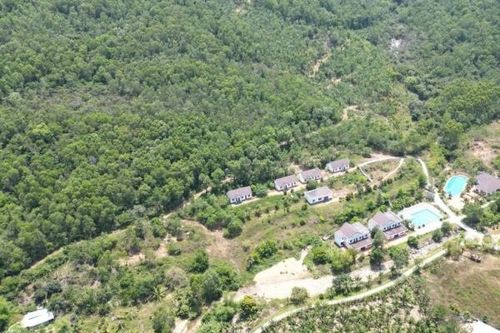 Gia Lai thu hút 62 dự án, tổng vốn đầu tư hơn 101.000 tỷ đồng